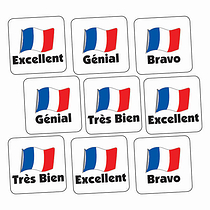 French Stickers (140 Stickers - 16mm)