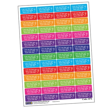 You Have Tried Really Hard Stickers (56 Stickers - 46mm x 16mm)