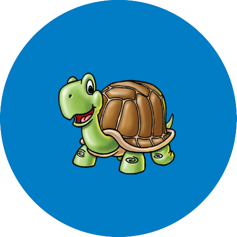 Primary Teaching Services Personalised Tortoise Sticker 37 Millimetres x 35