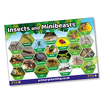 Insects & Minibeasts Poster - A2