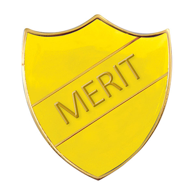 Enamel Merit Shield Badge - Yellow - 30 x 26mm