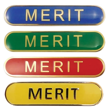 Merit Enamel Badge (45mm x 9mm)