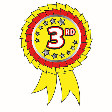 Metallic 3rd Place Rosette Stickers (25 Stickers - 54mm x 37mm)