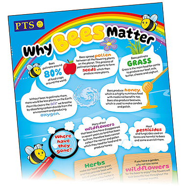 Why Bees Matter Poster (A2 - 620mm x 420mm)