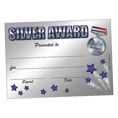 Silver Award Certificates (20 Certificates - A5)