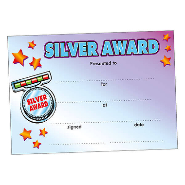 Silver Award Certificates - Purple (20 Certificates - A5) Brainwaves